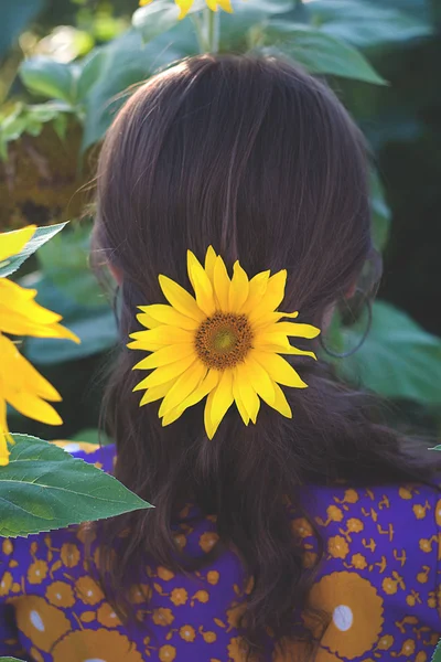 Junge Frau mit Sonnenblume in der Hand. zurück — Stockfoto