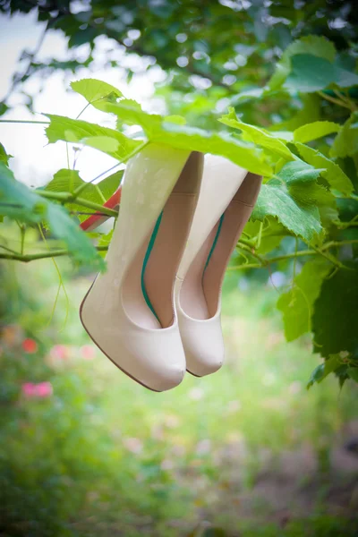 Womens shoes with high heels are hanging — Stock Photo, Image