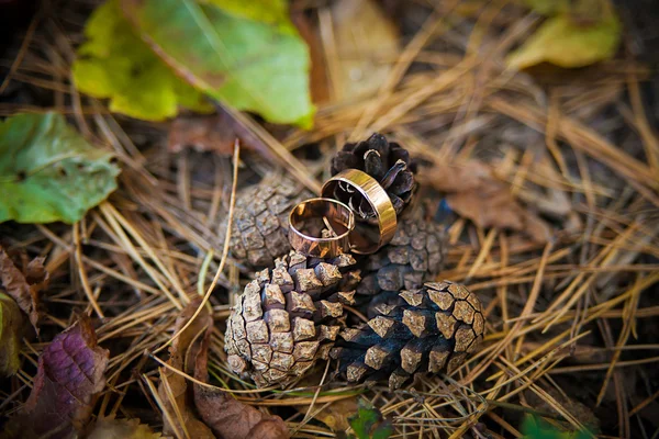 Betrokkenheid thema - Gold Ring op dennenappels — Stockfoto