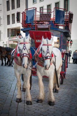 Kentsel yaşam Dresden. Turistler taşıma