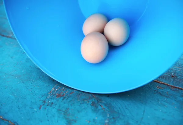 Easter - natural white eggs in a blue bowl — Stock Photo, Image