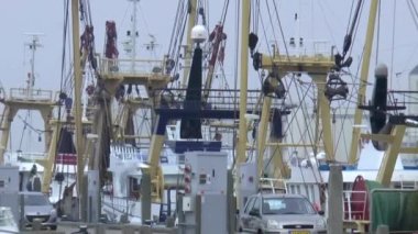 Balıkçı limanı içinde yer alan balıkçı tekneleri