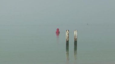 Yelkenli Scheldt nehre sabah sis üzerinde