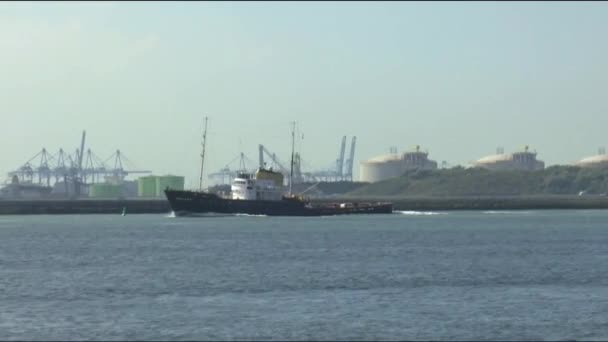 Vrachtschip in de haven — Stockvideo