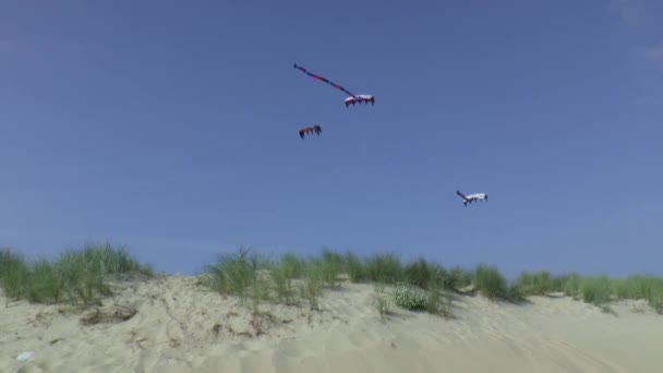 Diversão na praia no Brouwersdam — Vídeo de Stock
