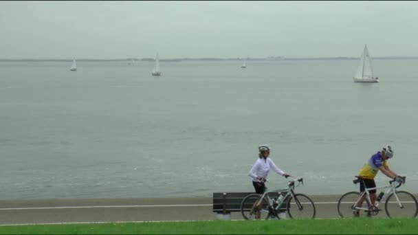 Bikers are biking along the coast of Den Helder — Stock Video