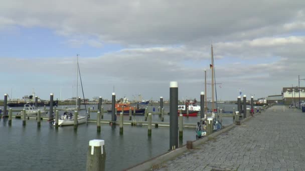 Puerto de Lauwersoog — Vídeo de stock