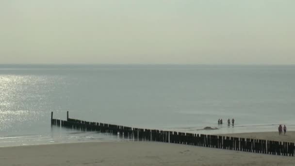 Brygga eller vågbrytaren på stranden — Stockvideo