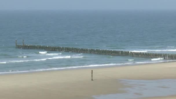 Jetty or breakwater on the beach — Stock Video