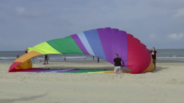 Menschen versuchen, einen Drachen am Strand zu handhaben — Stockvideo