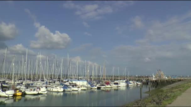 Yachts and sailing boats in the harbor — Stock Video