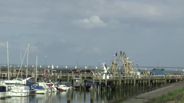Båtar och segelbåtar i hamnen — Stockvideo