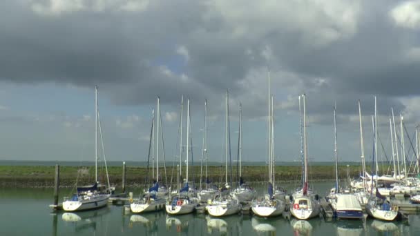 Yachten und Segelboote im Hafen — Stockvideo