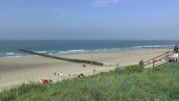 Mensen op het strand — Stockvideo