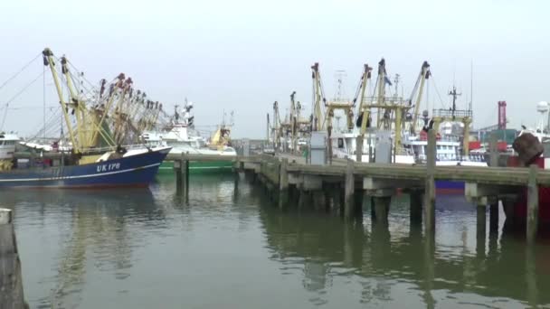 Fischereifahrzeuge im Fischereihafen — Stockvideo