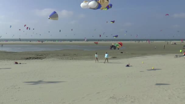 Diversão na praia no Brouwersdam — Vídeo de Stock