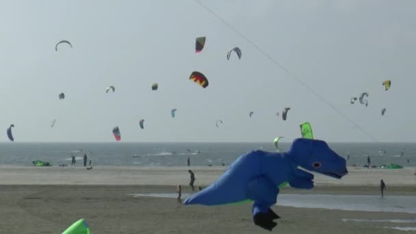 Diversão na praia no Brouwersdam — Vídeo de Stock