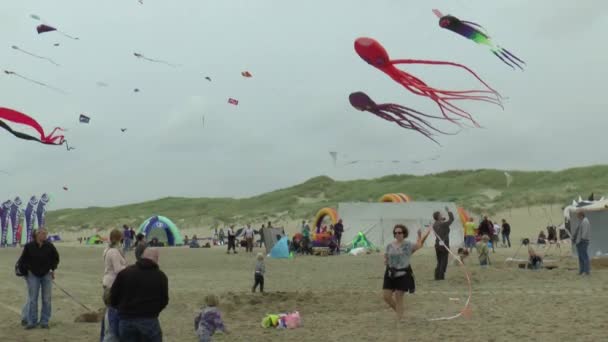 Mensen tijdens de wedstrijd voor de beste vliegers — Stockvideo