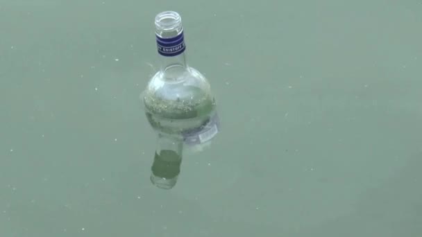 Empty bottle floating in water — Stock Video