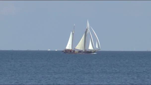 Segelboot auf dem Markermeer — Stockvideo