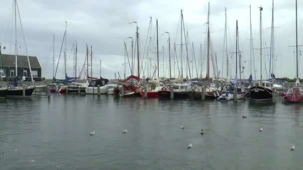 Blick auf den Hafen — Stockvideo