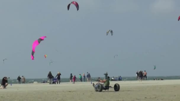 Diversão na praia no Brouwersdam — Vídeo de Stock