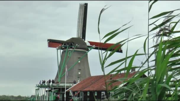 Tourists in the Open Air Museum — Stock Video