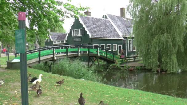 Tourists in the Open Air Museum — Stock Video