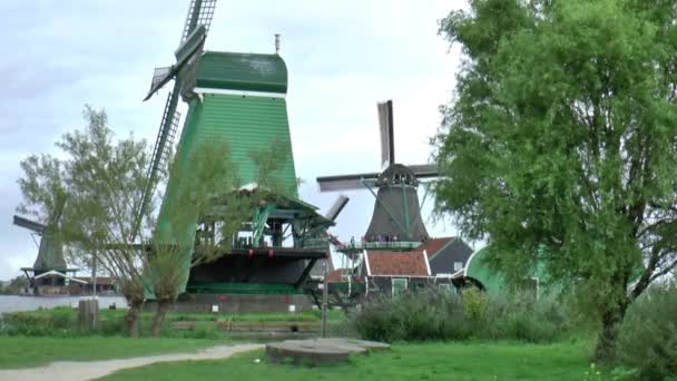 Tourists in the Open Air Museum — Stock Video