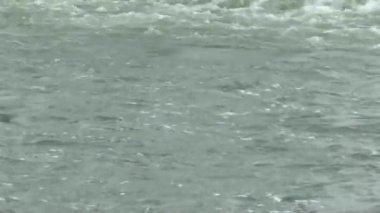 Kilit ve weir nehre Nederrijn