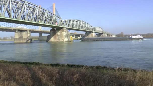 Pont suspendu par câble au-dessus de la rivière Waal 