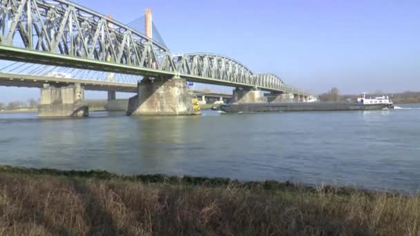 Puente de cable sobre el río Waal — Vídeos de Stock