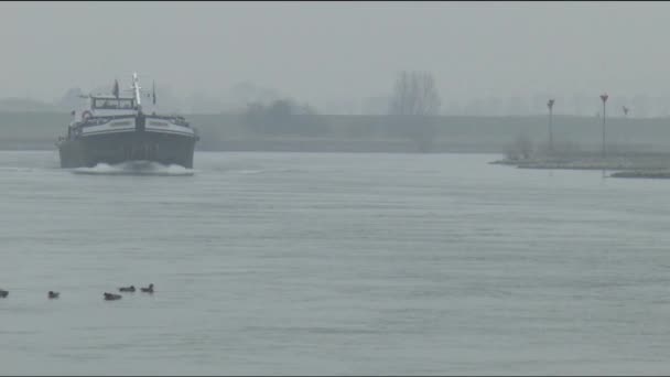 Баржі на річці Waal — стокове відео