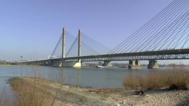Kabel-blivet överbrygga över floden Waal — Stockvideo