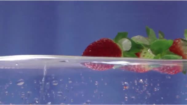 Aardbeien worden onderwater getrokken met de hand — Stockvideo