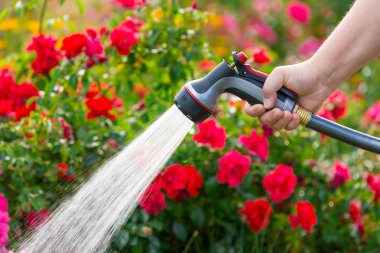 Çiçekli Bahçe Sulama