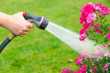 Çiçekli Bahçe Sulama