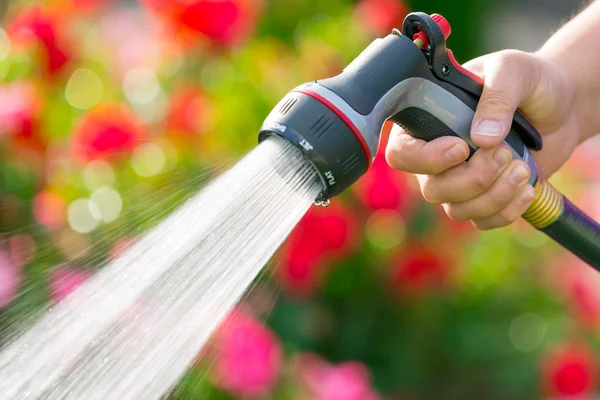 Innaffiare il giardino con fiori — Foto Stock