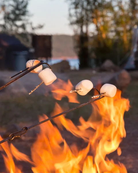 Camping Essen Eibische — Stockfoto