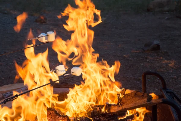 Camping Essen Eibische — Stockfoto