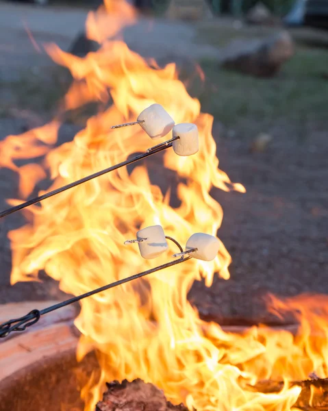 Camping food marshmallows — Stock Photo, Image