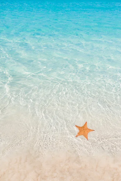 Tropical beach background — Stock Photo, Image