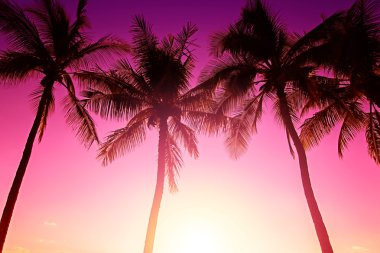 tropikal günbatımı arka plan