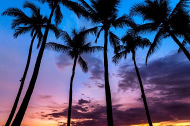 tropikal günbatımı arka plan