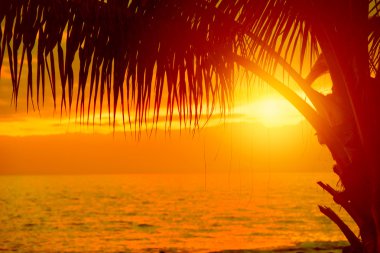 tropikal günbatımı arka plan