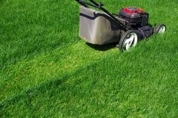 Mowing backyard lawn — Stock Photo, Image