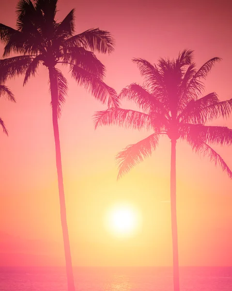 Tropické pláži slunce — Stock fotografie
