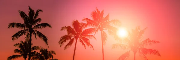 Atardecer en la playa tropical — Foto de Stock