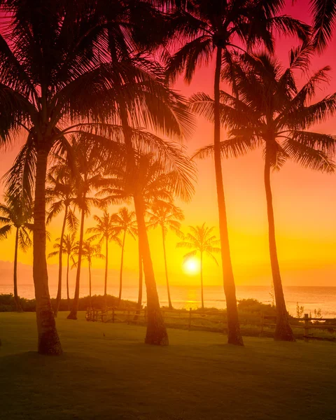 Τροπικό ηλιοβασίλεμα στην παραλία — Φωτογραφία Αρχείου