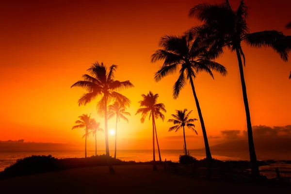热带海滩日落 — 图库照片